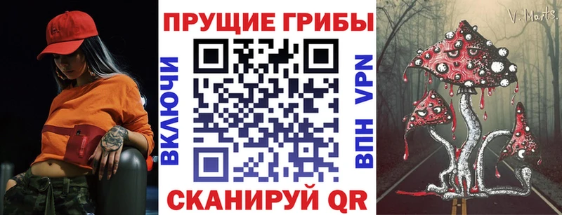 сколько стоит Березники кракен ссылки Галлюциногенные грибы прущие грибы